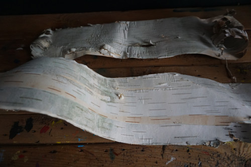 birchbark_stencil1_2