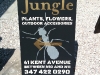 jungle_signage1